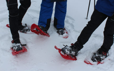 Rote Socken auf Roten Schneeschuhen im Thüringer Wald