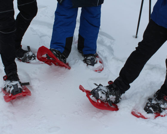 Rote Socken auf Roten Schneeschuhen im Thüringer Wald