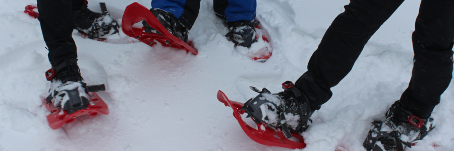 Rote Socken auf Roten Schneeschuhen im Thüringer Wald